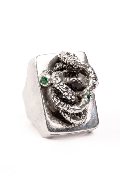 Struggles Ring